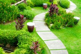 שביל בגינה המאפשר לצעוד בנחת בין חלקי הגינה